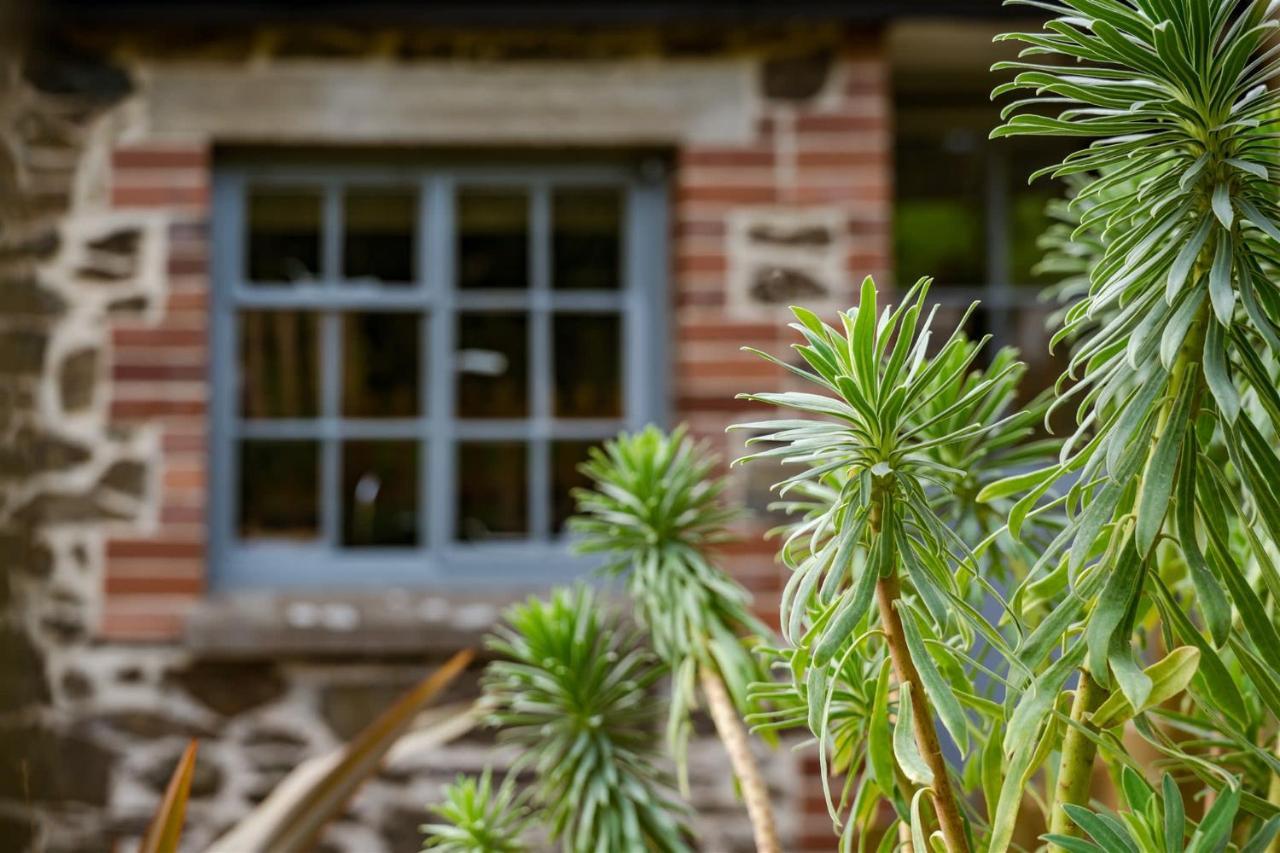 The Stables - Charming 15Th-Century Rural Bolthole Apartment Newton Abbot Ngoại thất bức ảnh